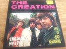 The Creation 7
