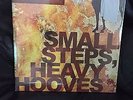 Dear and the Headlights Vinyl Small Steps, Heavy Hooves NEW