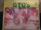 GTO'S  Zappa Permanent Damage Straight 1059 W/book orig psych rocker 12