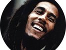 Reggae Classics - 12