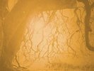 GOLDEN VOID - GOLDEN VOID  VINYL LP NEU