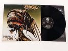 RAGE PERFECT MAN LP 1988