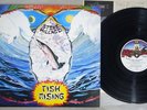 STEVE HILLAGE FISH RISING VIRGIN YX-7051-VR Japanese Pressing Vinyl LP
