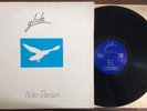 PETER DAVISON 'GLIDE' RARE LP AVOCADO 1981 ambient electronic LITA Proto New Age