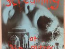 SCREAMING AT THE MIRROR - V/A AUSSIE MELBOURNE INDIE COMP - SLUB MAVIS'S PRAY TV
