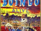 OINGO BOINGO 