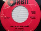 VELOURS doowop 45 CAN I WALK YOU HOME b/w REMEMBER on ORBIT VG++ VINYL e8343