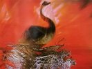 DEPECHE MODE - Explicate - ultr@r@re Spanish 1st Pres Spain 1981 LP in RCA