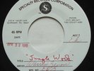 EAGLES Lyin' Eyes / Take It To The Limit EX TEST PRESSING 45