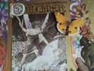 Dulcimer L.P.-by Nepentha Records