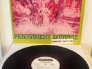 GTO's US 1969 WHITE LABEL PROMO Straight Records LP NM Psych/Garage