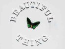 The Stone Roses - Beautiful Thing 12