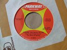 THE RITES OF SPRING 45 Comin' On Back To Me GARAGE Fuzz PARKWAY 1966