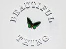 The Stone Roses - Beautiful Thing 12
