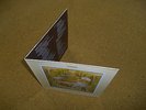 Genesis Vinyl Selling England by the Pound German Original F O C