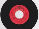 LEROY ROOTS - SHOCKING - BLACK STAR ( VERY RARE KILLER DIGI ROOTS 7 )