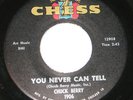 Chuck Berry 7