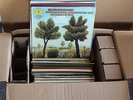 Mehr als 80 Klassik-LPs - wahre Raritäten. Großes Konvolut 