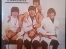 The Beatles - Casualties - RARE promo  vinyl record LP 1980 butcher SPRO-9469