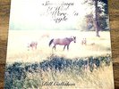Bill Callahan ?- Sometimes I Wish We Were an Eagle (LP, Vinyl)