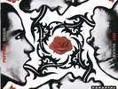 Red Hot Chili Peppers - Blood Sugar Sex Magik