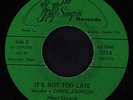 CHERYL JOHNSON: It's Not Too Late / Racoon Meat Is Good To Eat 45 rare Soul