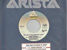 BOBBY WOMACK - HOW COULD YOU BREAK MY HEART - ARISTA