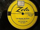 JOHN WATSON & THE BOYS-I'M WALKING THE BLUES/STARFLIGHT 