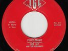 DEE JAY & RUNAWAYS - IGL 103 (Milford, Iowa) - Peter Rabbit - '66 ROCK 45 VG/VG+