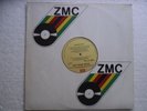 Pet Shop Boys - Introspective  -  ZIMBABWE SAMPLE LP / COMPANY SLEEVE