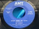 EX Nola Soul 45 : Lee Dorsey   A Lover Was Born   What Now My Love   Amy 11,052