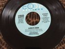 PRIVATE PRESS HEAVY METAL 45-LIQUID EARTH-LION'S DEN 1984  - 7
