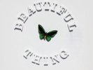 The Stone Roses - Beautiful Thing Ltd Edition 12