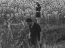 JESU / SUN KIL MOON - Jesu/Sun Kil Moon, Vinyl LP + CD Brand New Sealed