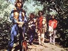 CREEDENCE CLEARWATER REVIVAL - Green River - Vinyl (LP)