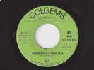 ?THE MOTHER, SISTER & FLYING NUN (Sally Field) Gonna Build A Mountain POP ROCK?