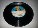 CAMEL/DOWN IN THE PARK - THE INSPIRATIONS [REGGAE]  7