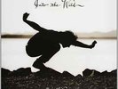 Eddie Vedder-Into The Wild - Ost  Vinyl / 12