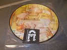 GENESIS - SELLING ENGLAND BY THE POUND (2013) VINYL PICTURE DISC NEW/SEALED