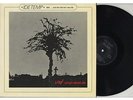 LP Idetemp - 1983...And She Told Me I Was Die RARE PRIVATE RELEASE...1978..NM