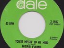 HERB FAME - YOU'RE MESSIN UP MY MIND - FROM THE SHADOWS TO THE SUN