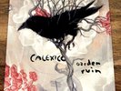 Calexico - Garden Ruin (LP, Vinyl)