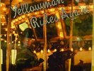 SEALED RAS Reggae Dancehall LP  YELLOWMAN RIDES AGAIN  Roots Radics
