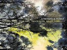 Strength & Power [VINYL] Jamie Saft Vinyl
