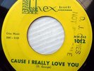 TECHNICS doowop 45 CAUSE I REALLY LOVE YOU A MAN'S CONFESSION VG+ CHEX e8487