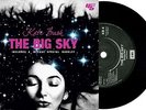 KATE BUSH THE BIG SKY NOT THIS TIME RARE UNIQUE COVER W. BOOKLET 45PRM SINGLE