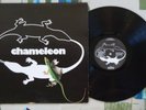 Chameleon S/T LP Private Minnesota Rock Yanni 1981 VG++/VG+
