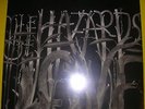 The Decemberists - HAZARDS OF LOVE 2x vinyl LP album Rough Trade orig. SEALED