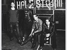 Into The Wild Life (Deluxe) [VINYL] Halestorm Vinyl