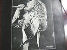 Led Zeppelin: Kashmir  (LP)